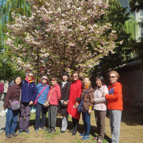 3携手赏樱共享春光——老干部科举办“第五届老同志玉渊潭健步走”活动_conew1.jpg