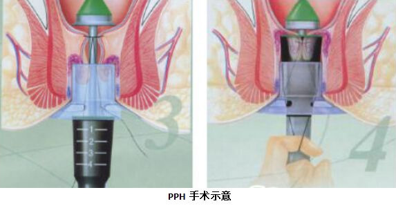 图片9.jpg